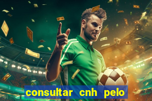 consultar cnh pelo cpf sp