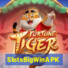 SlotsBigWinAPK