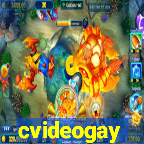 cvideogay