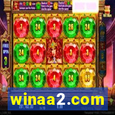 winaa2.com