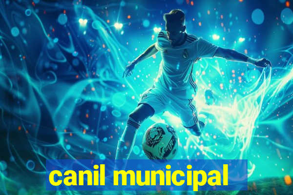 canil municipal