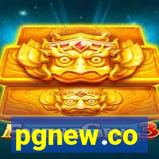 pgnew.co